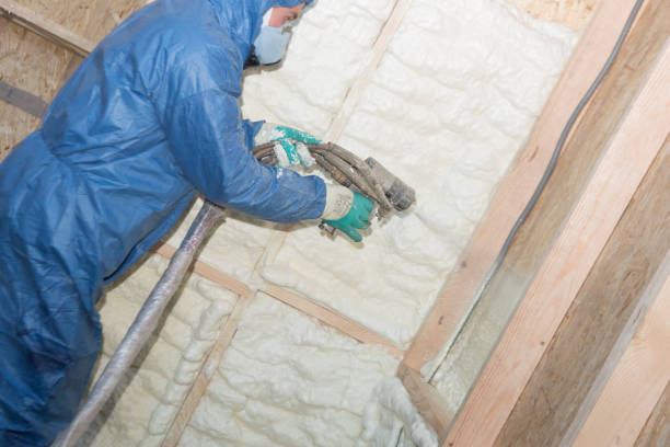 Types of Insulation We Offer in Haymarket, VA